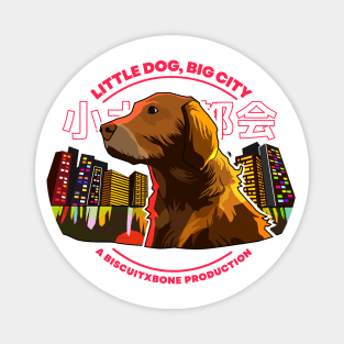 Little Dog, Big City (light version) Magnet